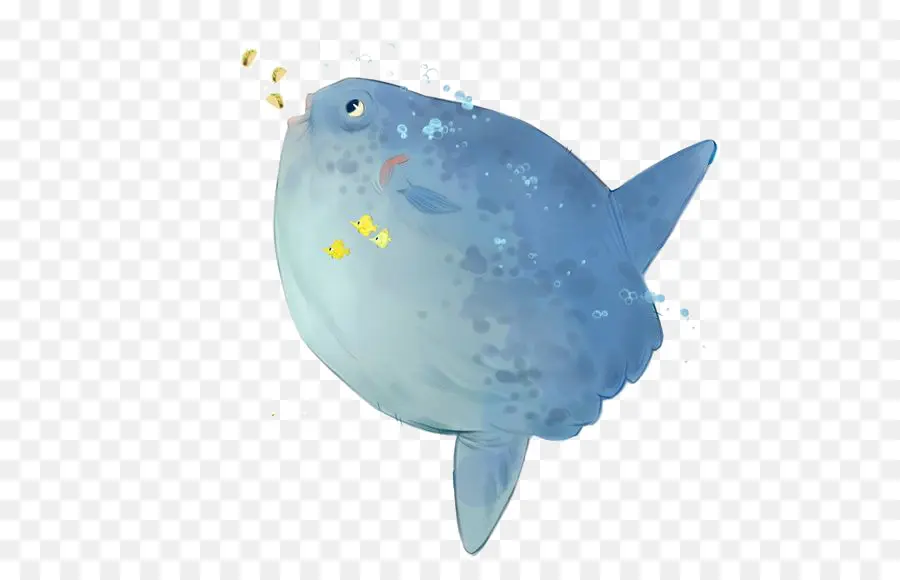 Poisson，Bleu PNG