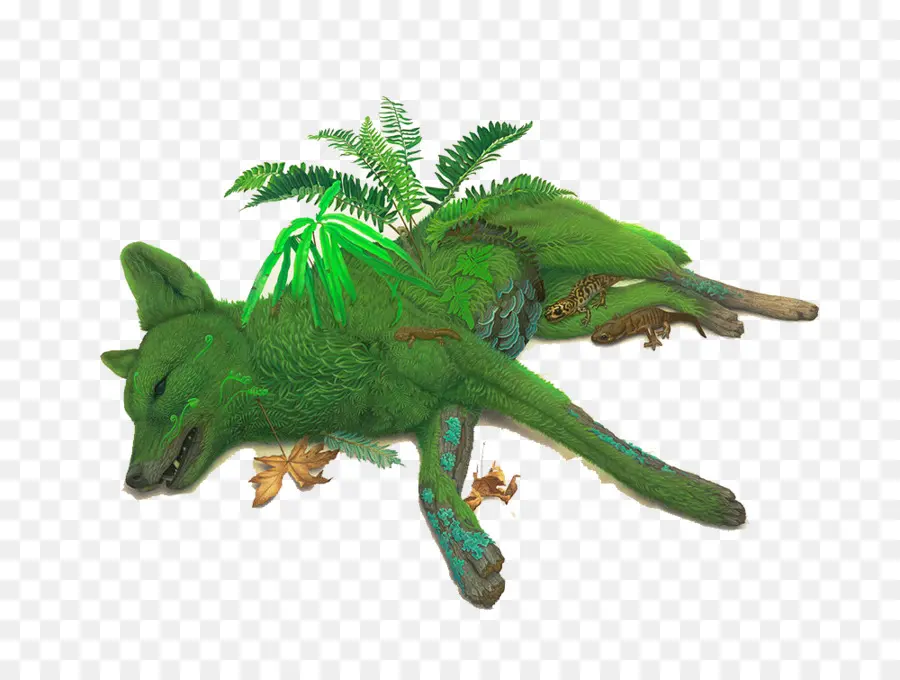 Renard Vert，Plantes PNG