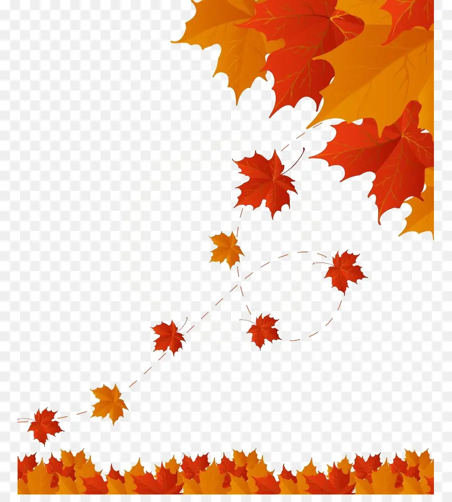 Feuilles D'automne，Automne PNG