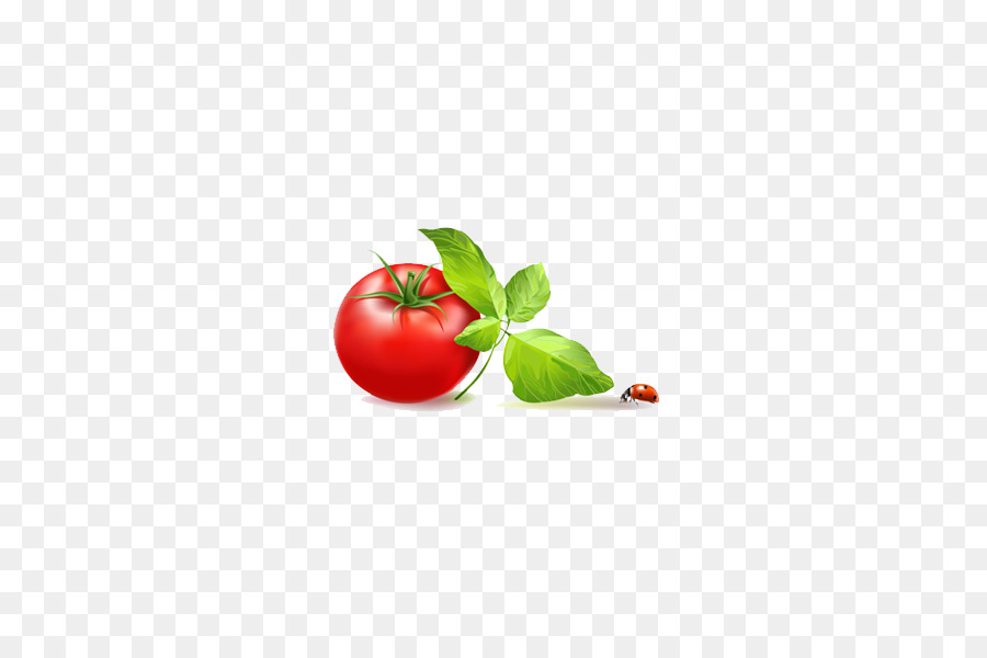 Tomate，Le Relais Saint Clair PNG
