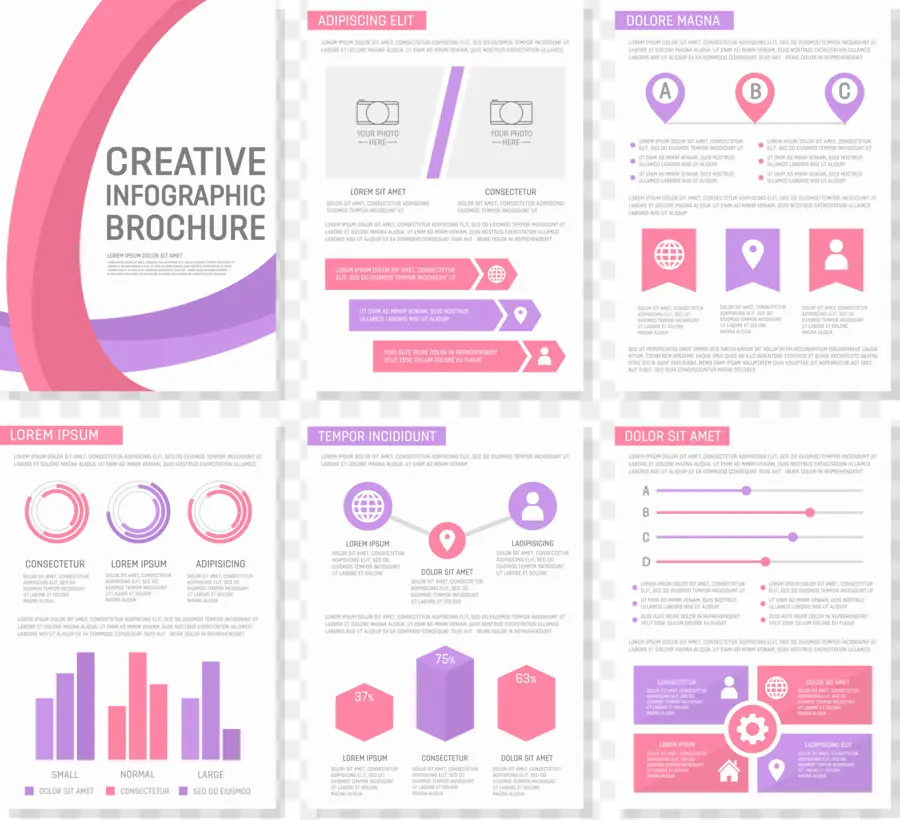 Brochure Infographique，Graphiques PNG