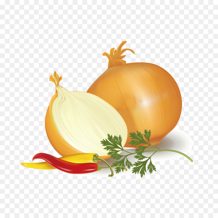 Oignons，Légume PNG