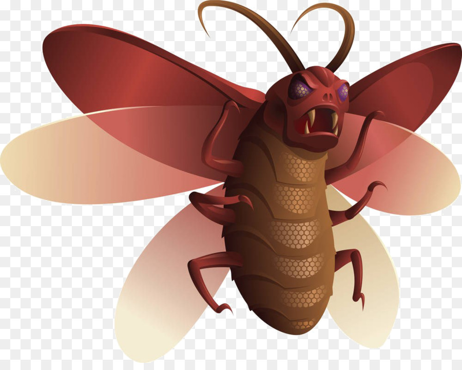 Insecte，Dessin Animé PNG