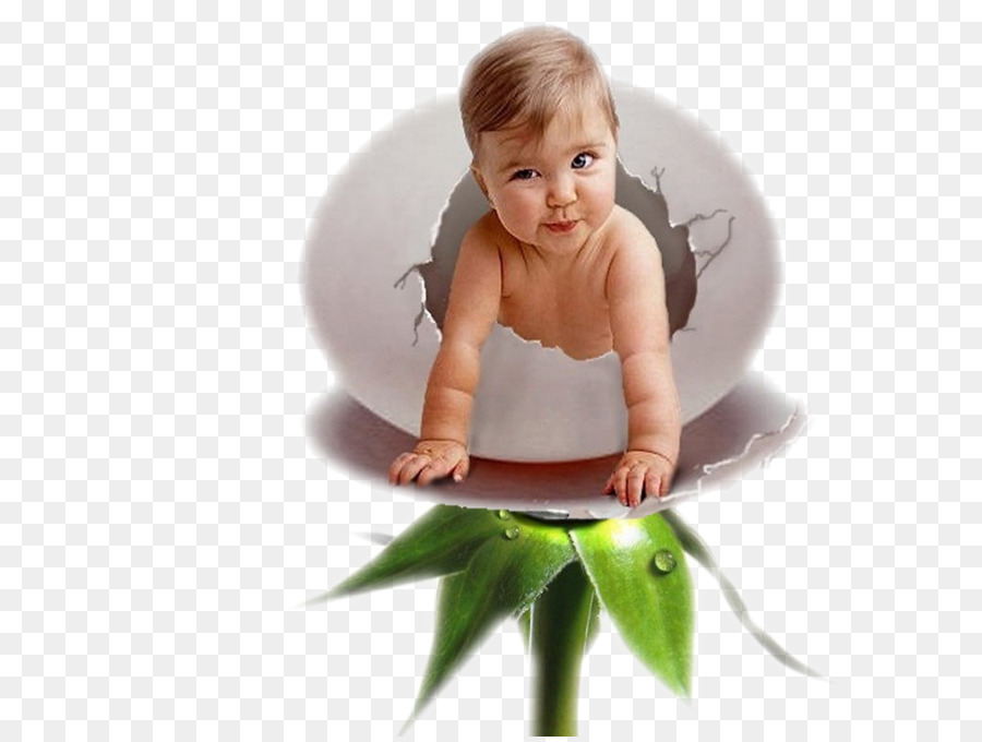 Bébé Dans L'oeuf，Nouveau Né PNG