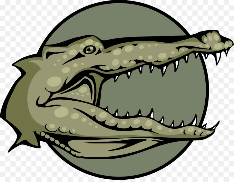 Crocodile，Alligator PNG