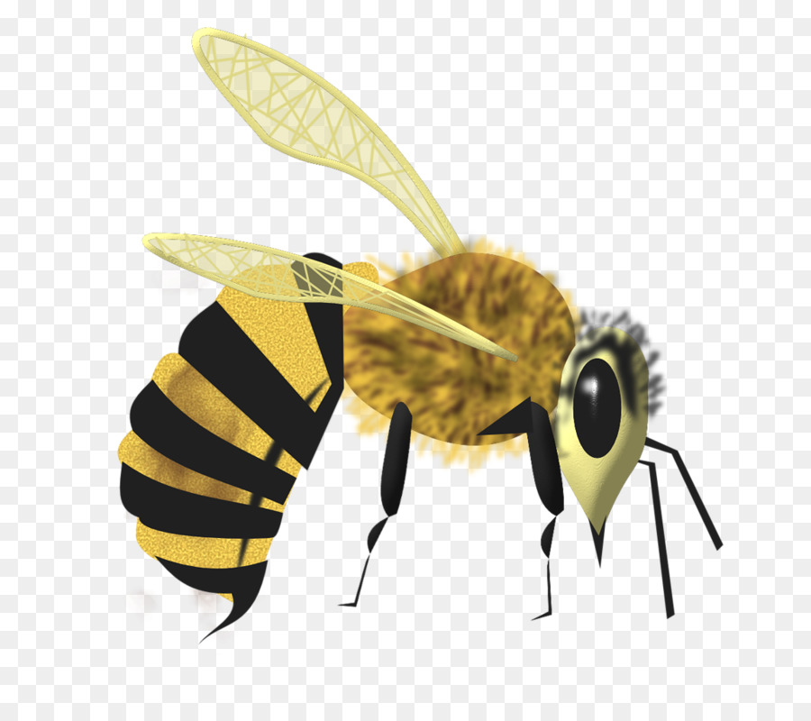 Guêpe Jaune Et Noire，Ailes PNG