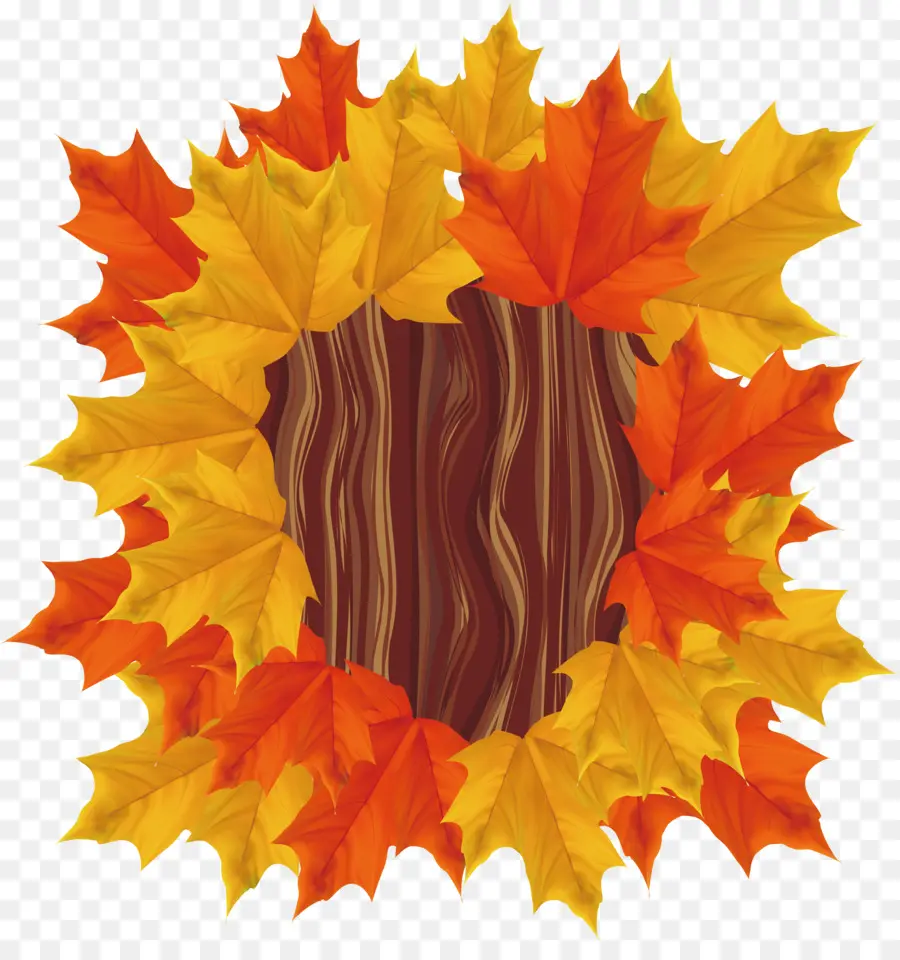 Feuilles D'automne，Feuilles PNG