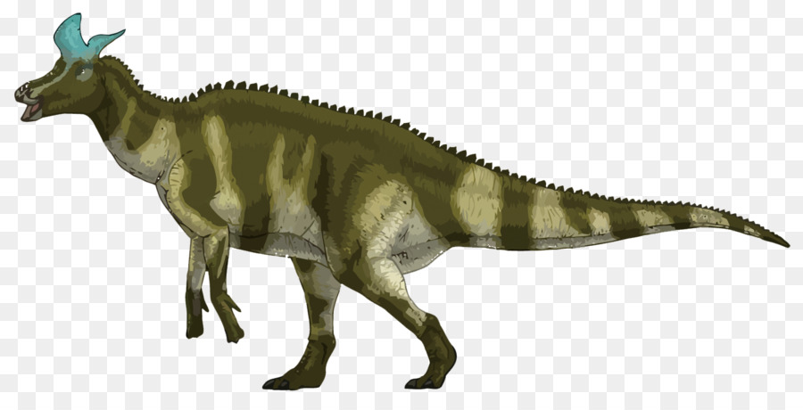 Lambeosaurus，Tsintaosaurus PNG