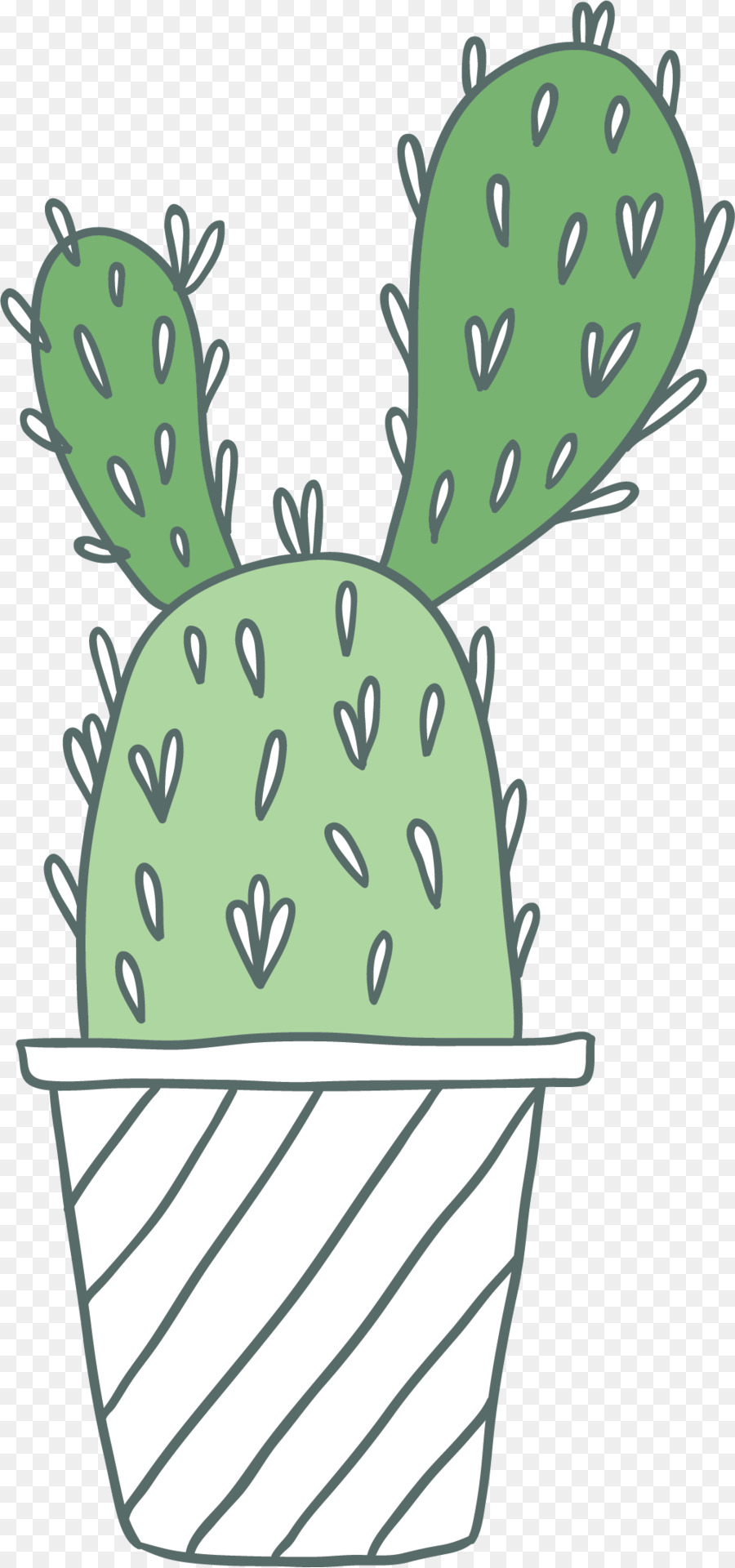 Cactus，Épineux PNG