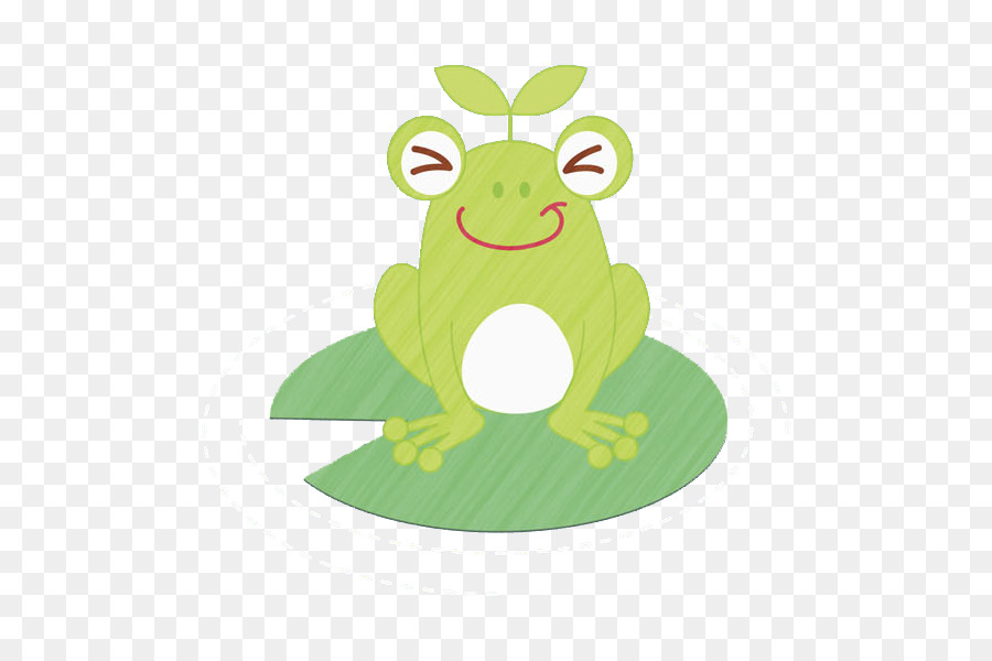 Grenouille，Rainette PNG