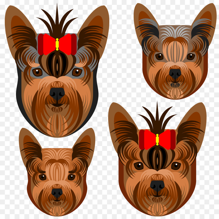 Yorkshire Terrier，Terrier Australien PNG