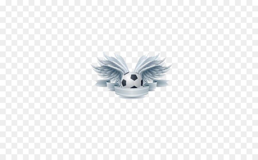 Ballon De Football，Ailes PNG