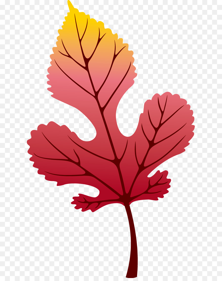 Feuille，Usine PNG