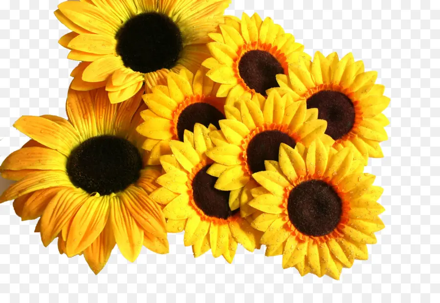 Vase Avec Trois Tournesols，Papier PNG