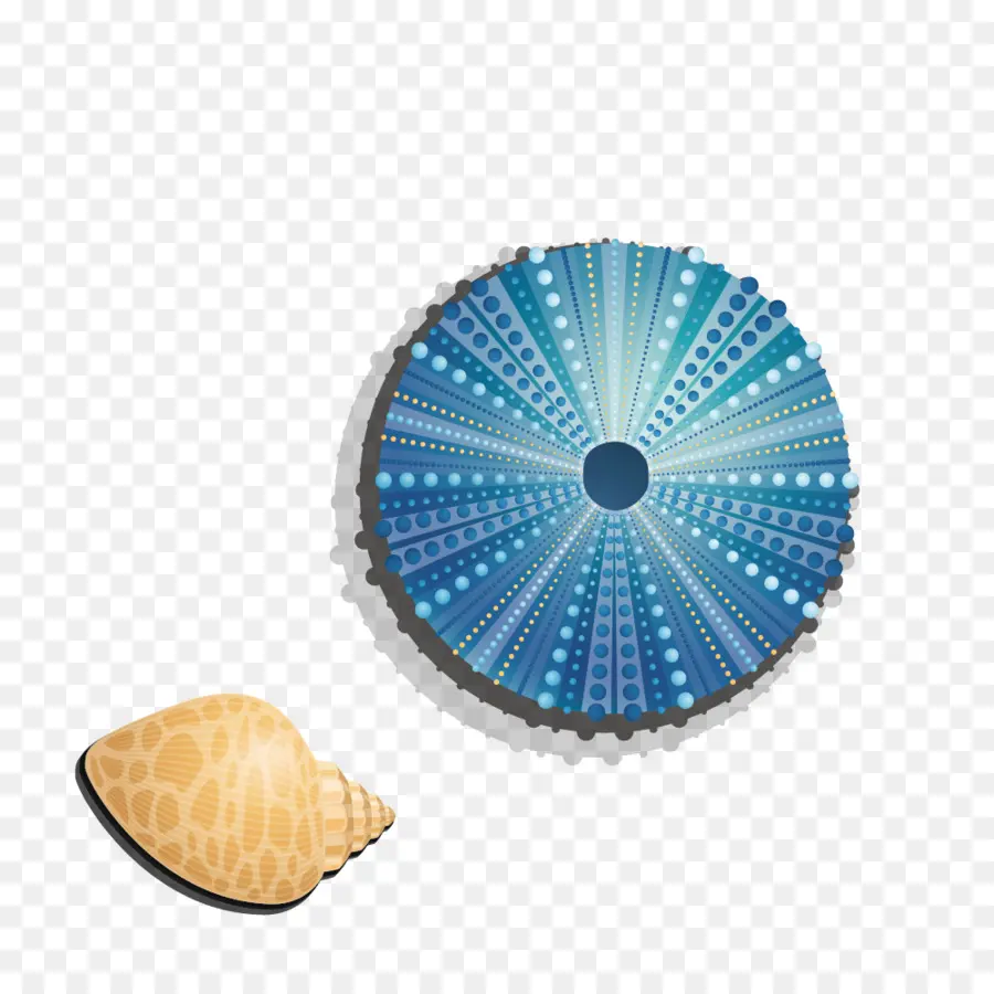 Bleu，Coquillage PNG