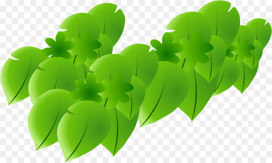 Feuilles Vertes，Feuillage PNG