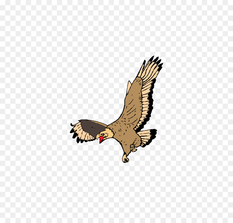 Aigle，Oiseau PNG