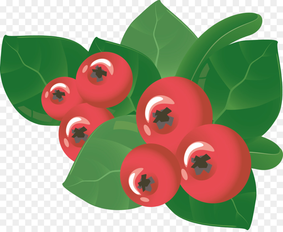 Fruits Rouges，Feuilles PNG