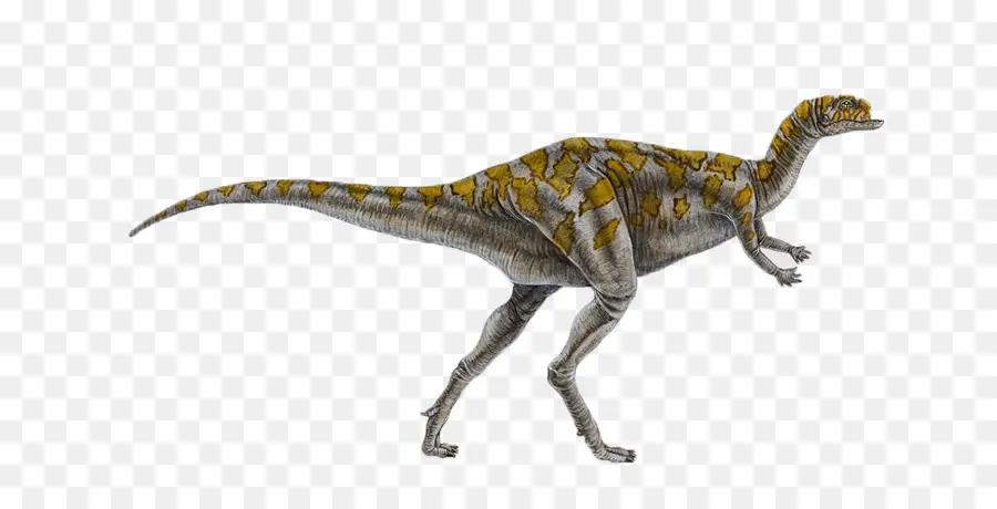 Dryosaurus，Iguanodontie PNG