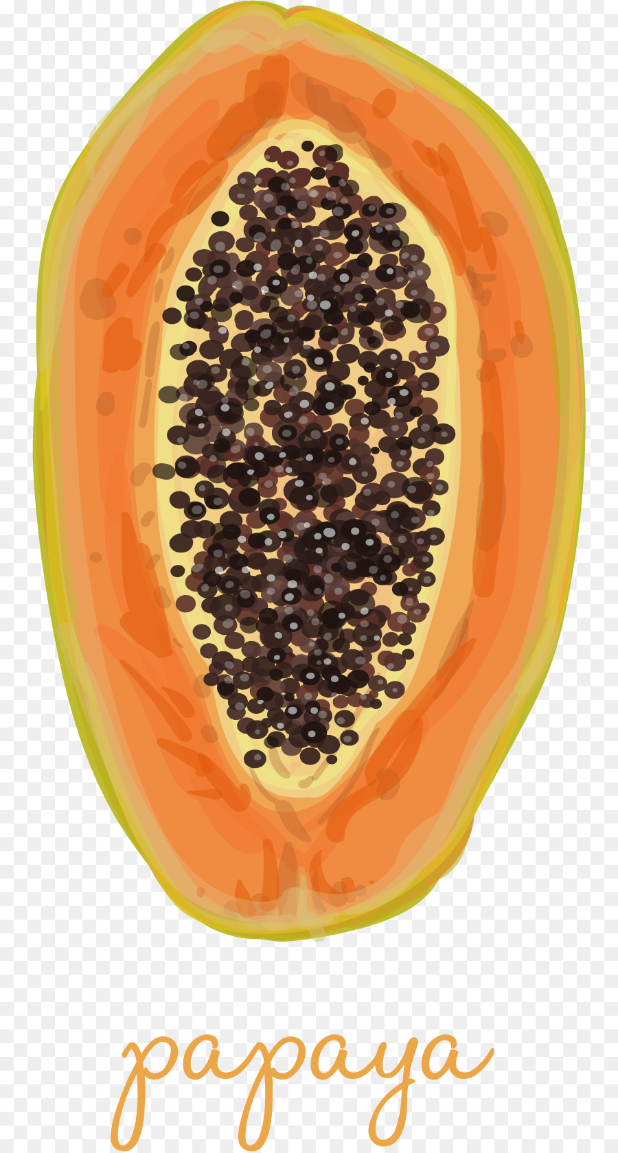 La Papaye，Fruits PNG