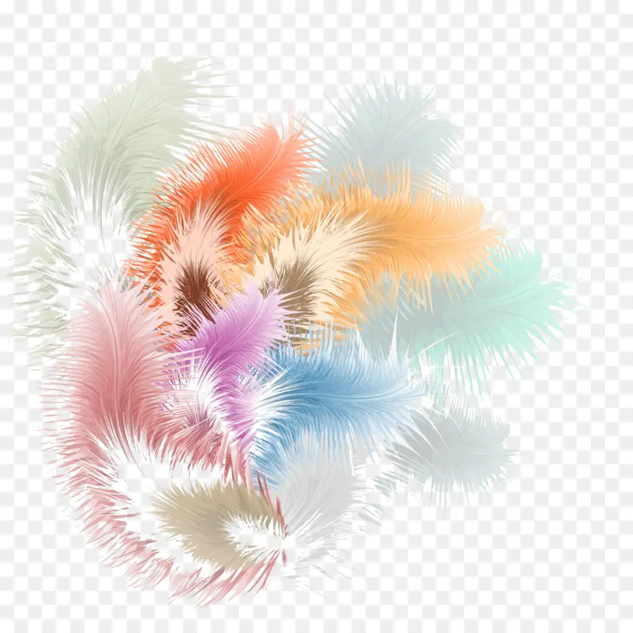 Plumes Colorées，Coloré PNG