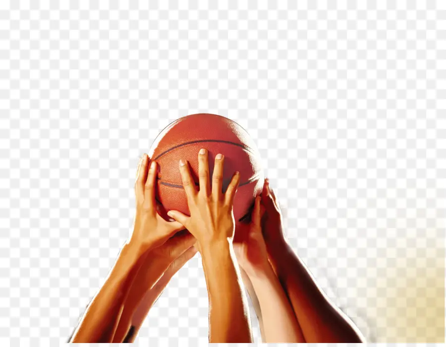 Basket Ball，Mains PNG