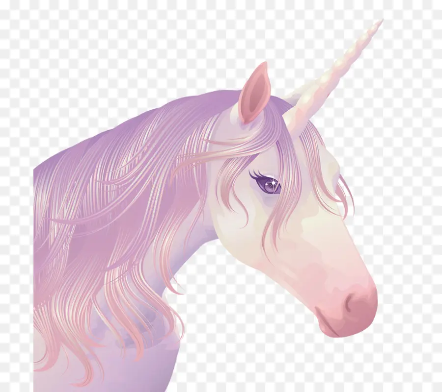 Licorne，Licorne Folle PNG