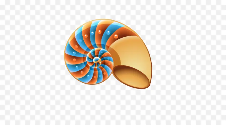Coquillage，Mollusque à Coquille PNG