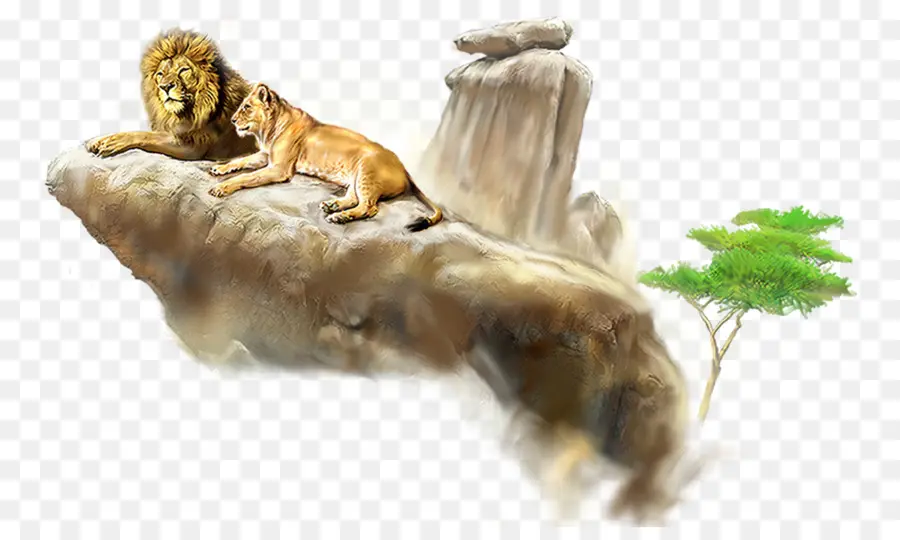 Lion，Animation PNG