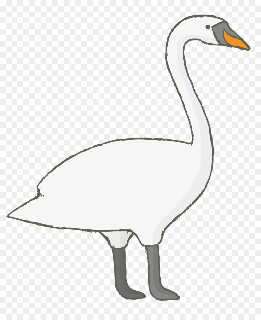 Cygne，Oiseau PNG