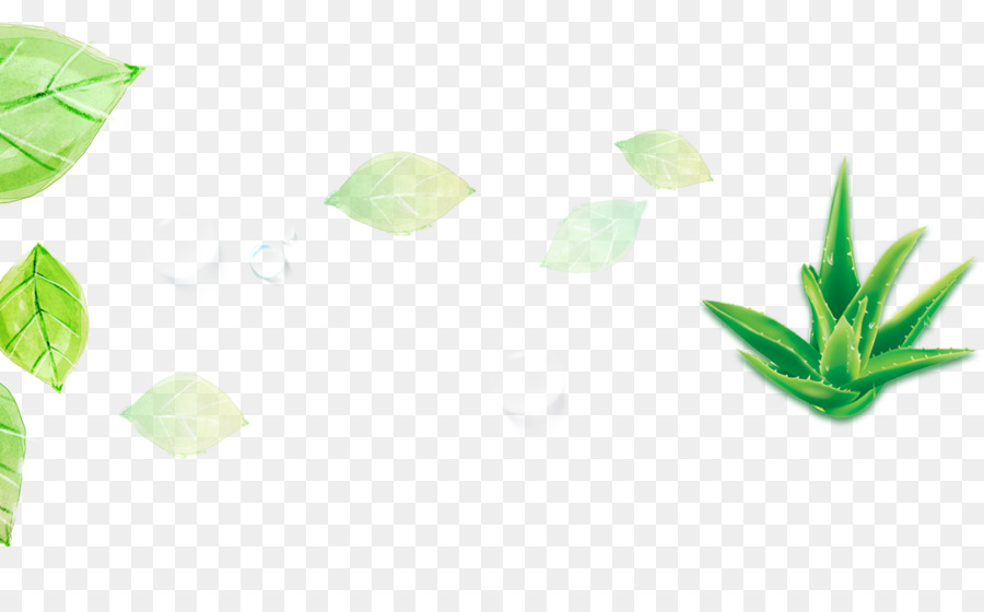 Feuilles Vertes，Feuilles PNG