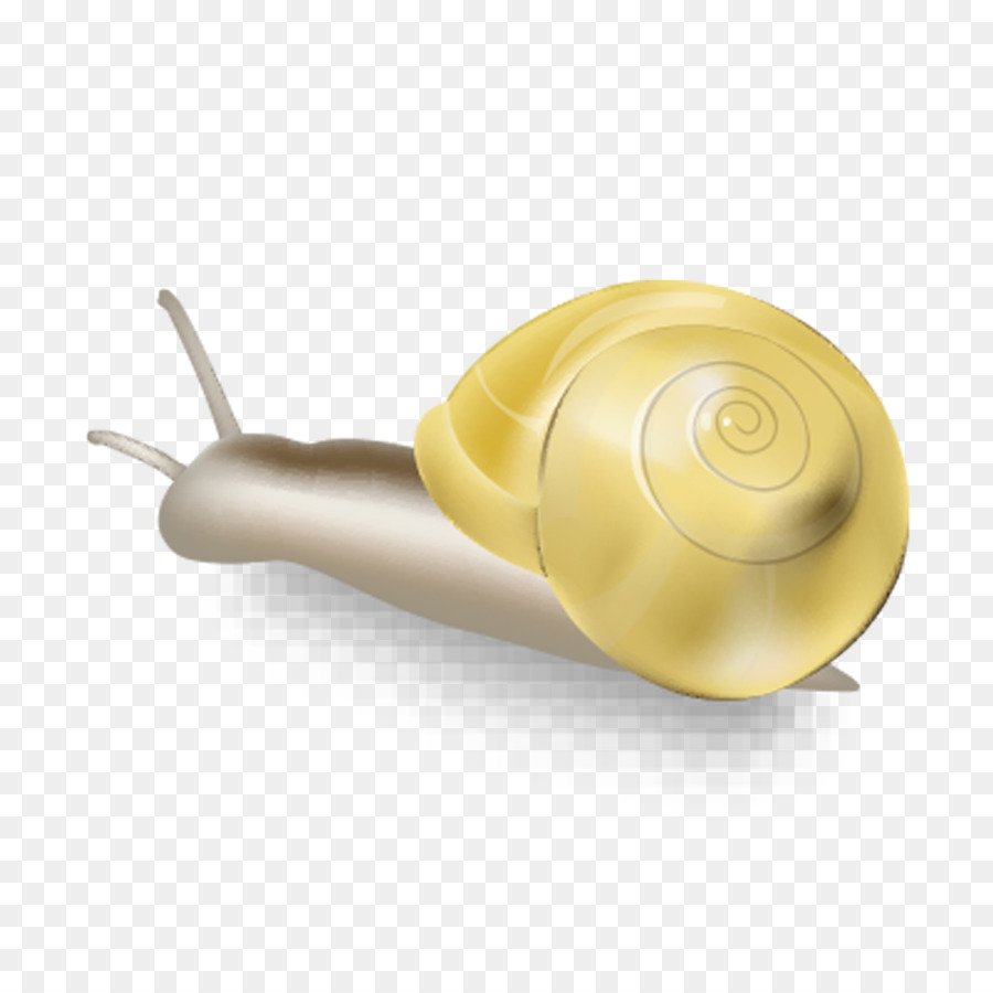 Escargot，Coquille PNG