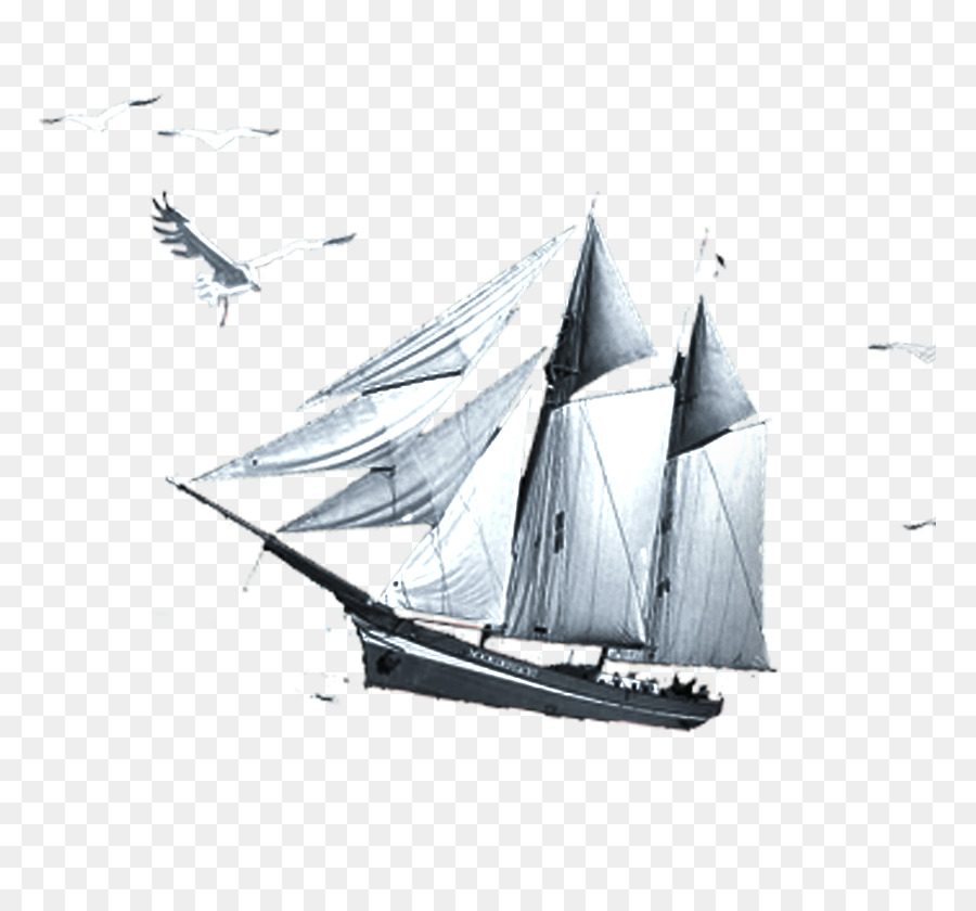Naviguer，Voile PNG