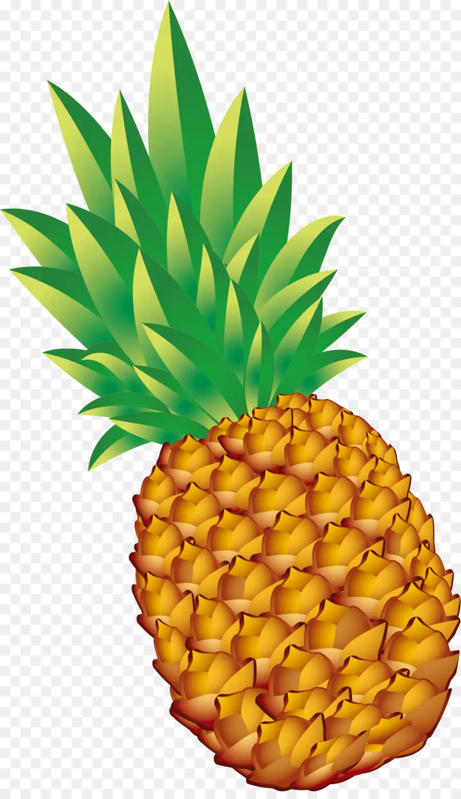 L Ananas，Le Végétarisme PNG