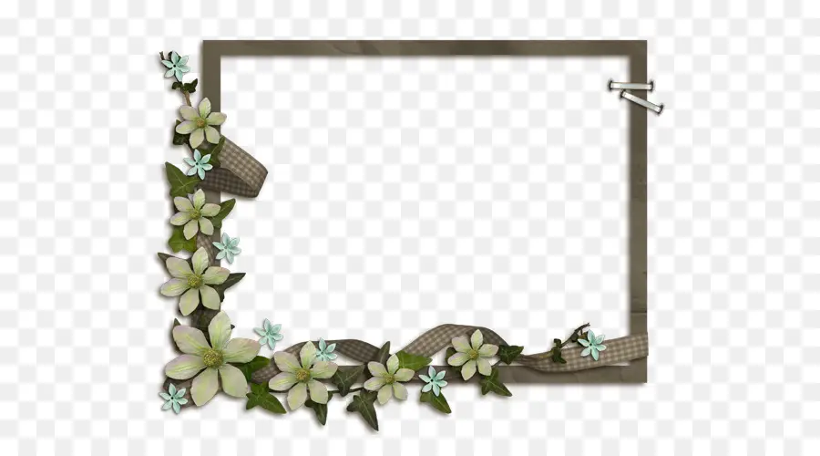 Cadre Photo，Fleurs PNG