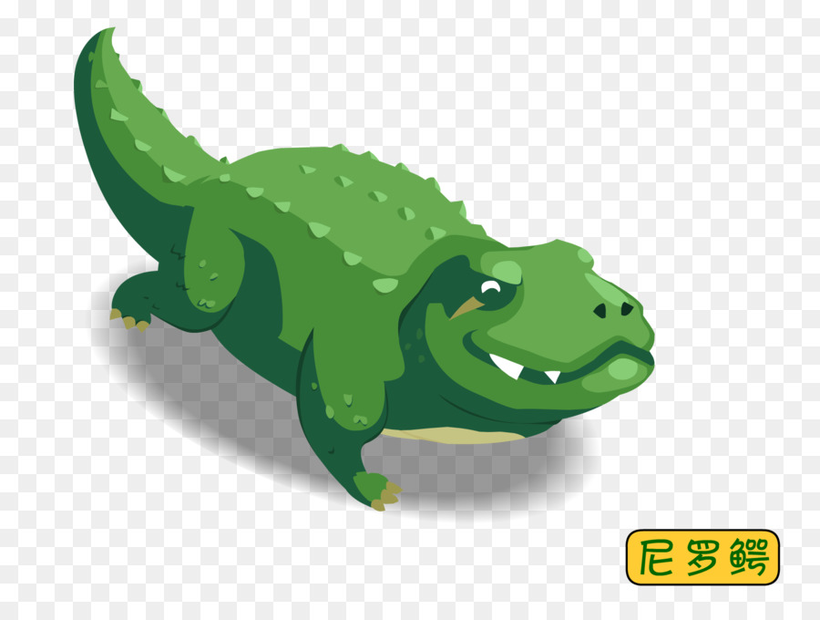 Les Crocodiles，Crocodile PNG