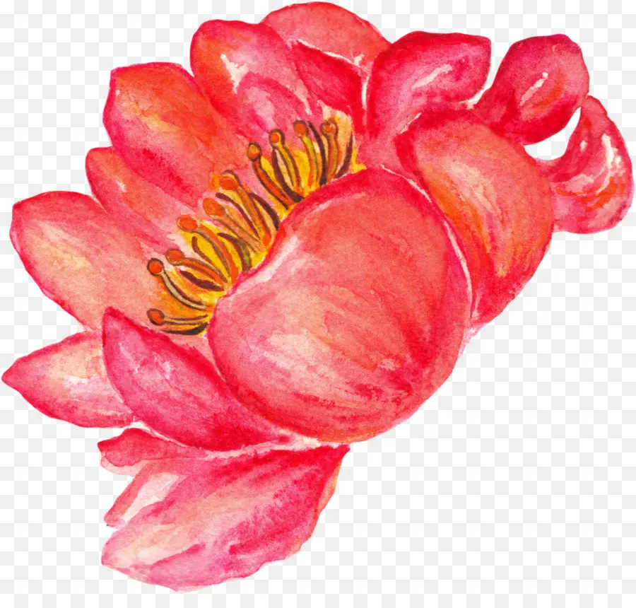 Peinture à L Aquarelle，Fleur PNG