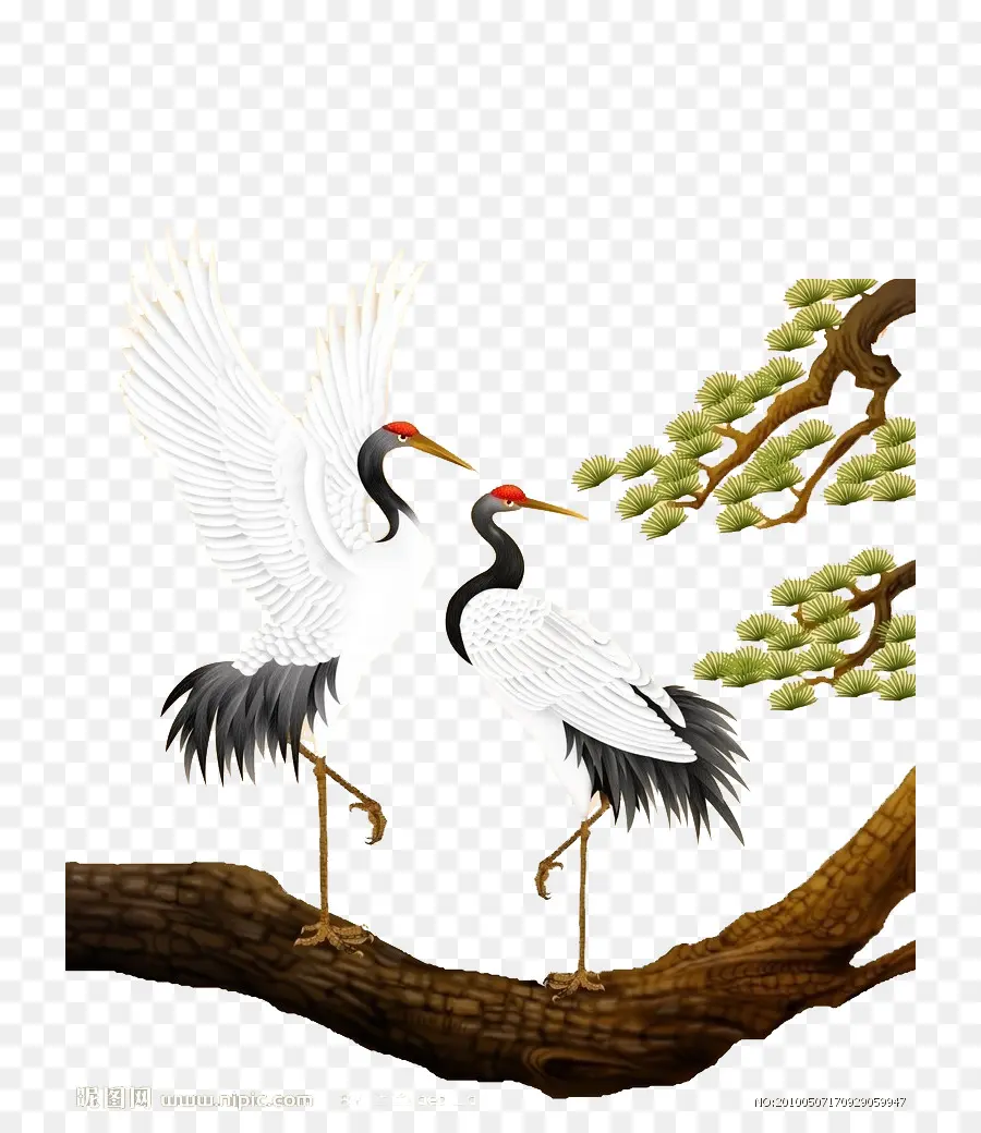 Grues，Arbre PNG