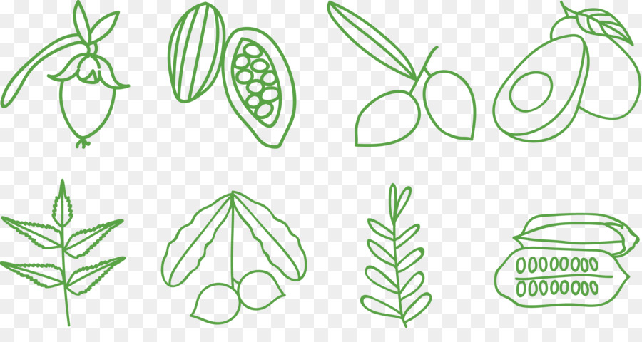 Icônes De Plantes，Feuilles PNG