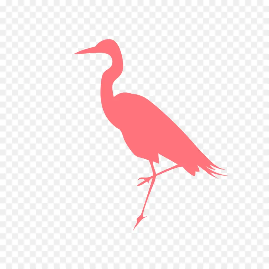 Flamant Rose，Debout PNG