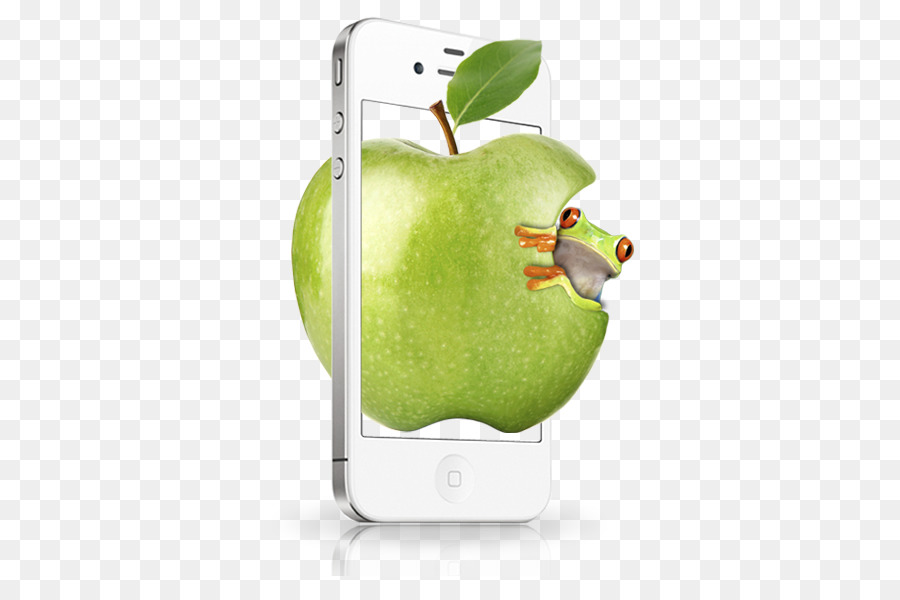 Apple Et Frog Avec Téléphone，Fruit PNG