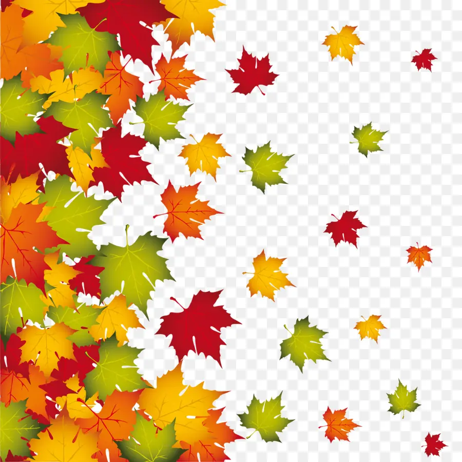 Feuilles D'automne，Coloré PNG