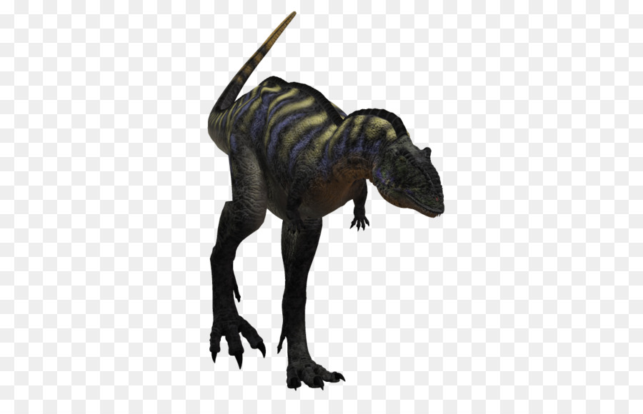 Le Tyrannosaure，Aucasaurus PNG