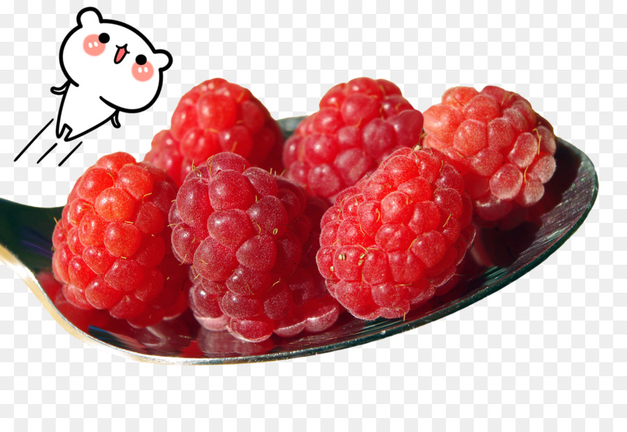 Framboise，Fruit PNG