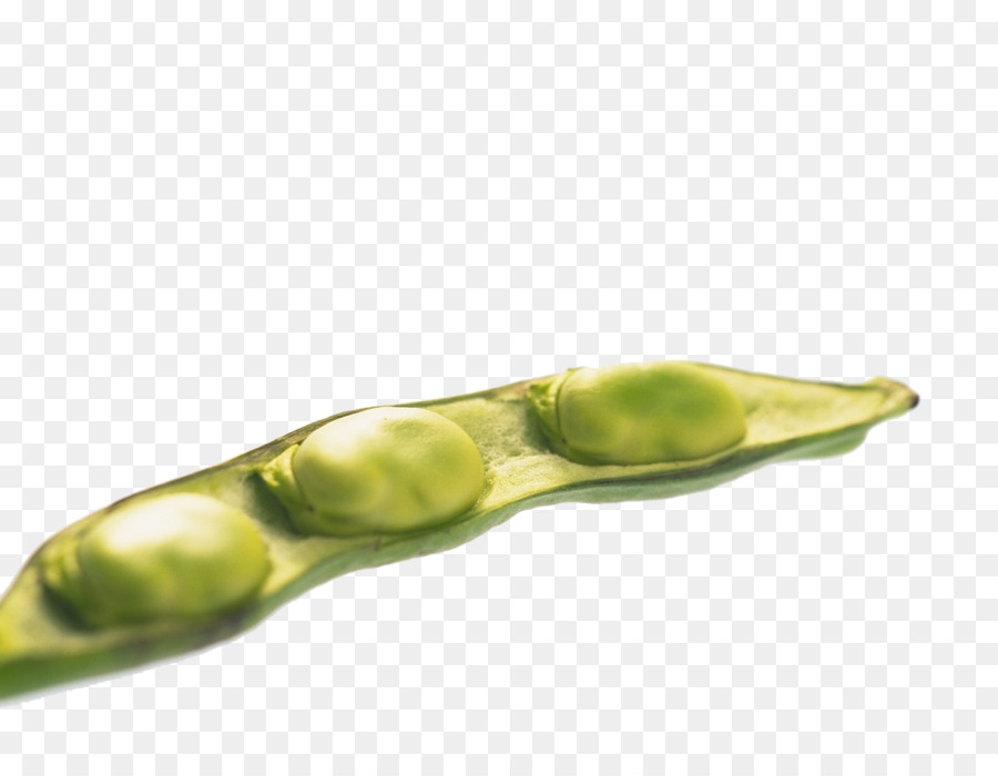 Edamame，Fève PNG