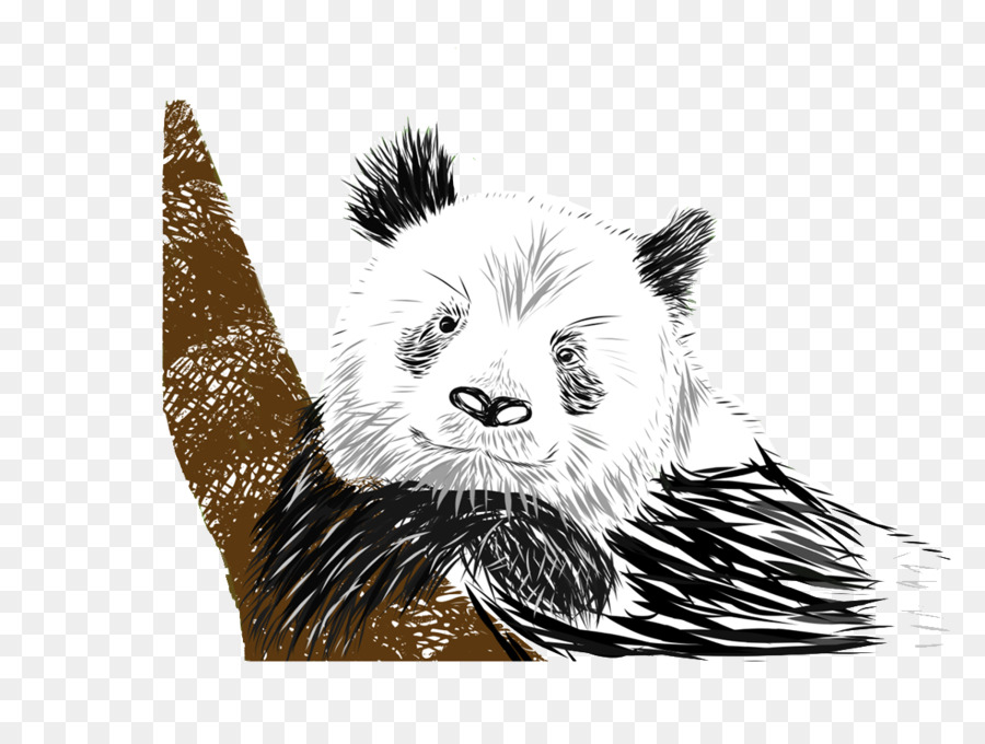 Panda，Ours PNG