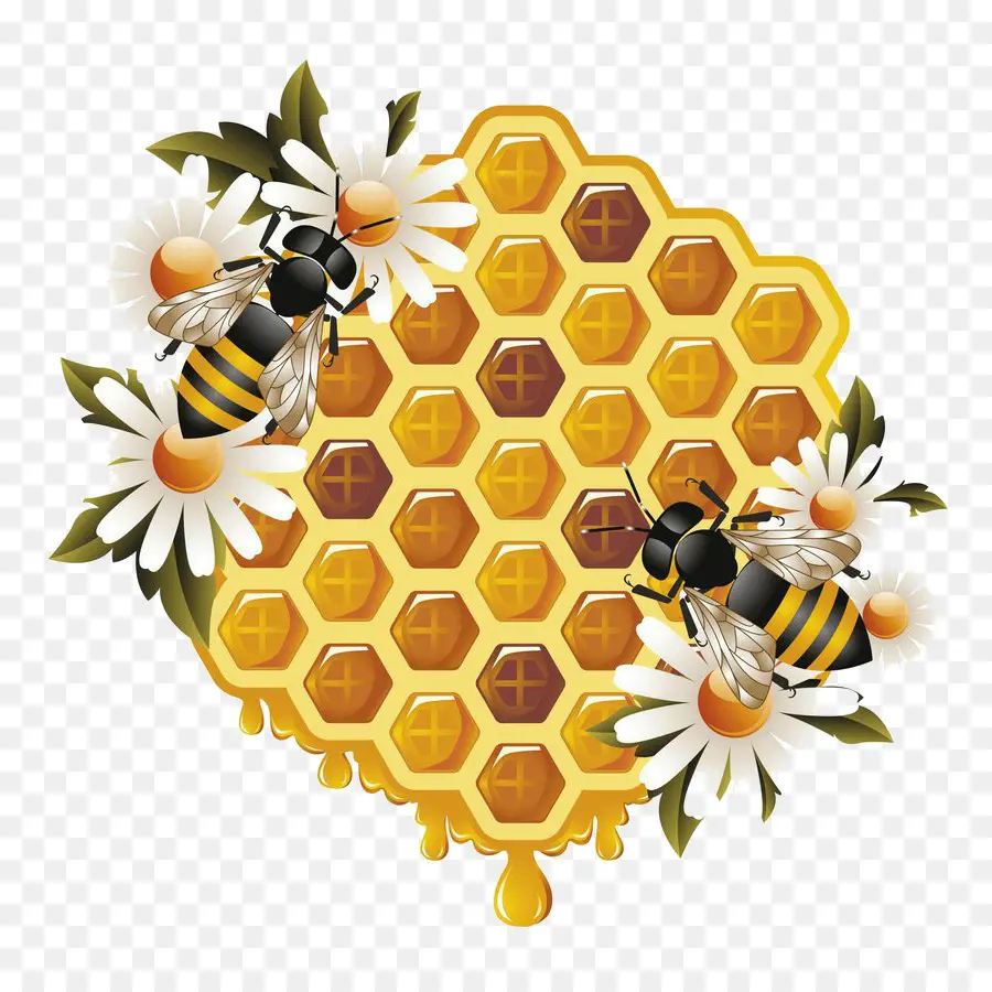 Abeille，Rayon De Miel PNG