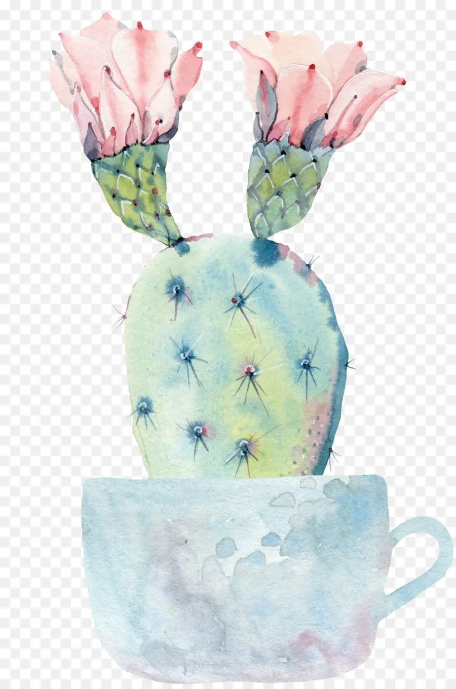 Cactus，Fleur PNG