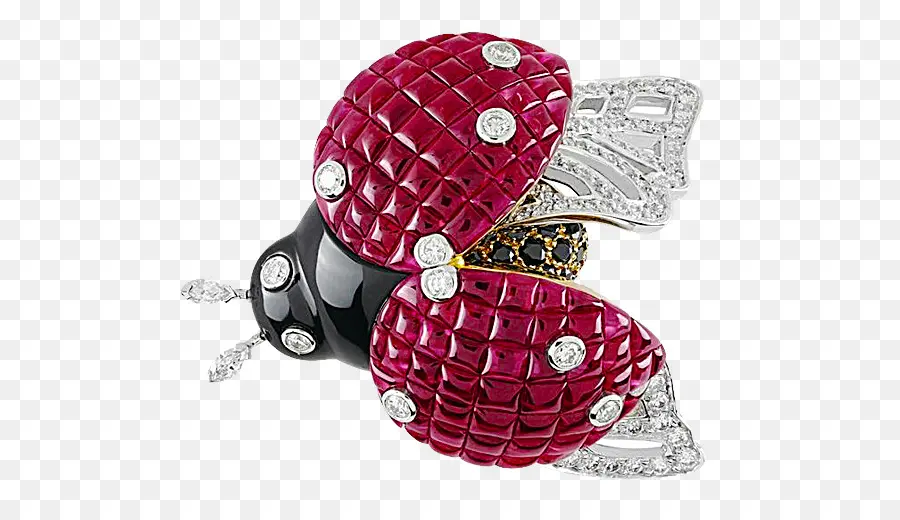 Coccinelle，Bijoux PNG