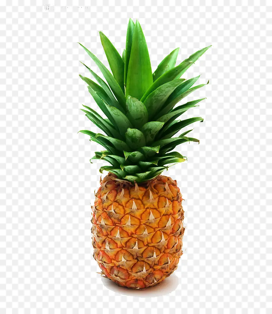 L Ananas，Pizza PNG